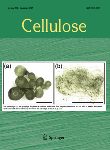 Cellulose Journal cover Dec 2015