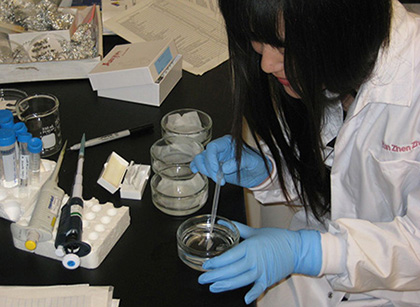 Photo of Yunzhen Zhneg preparing cell wall samples in the lab